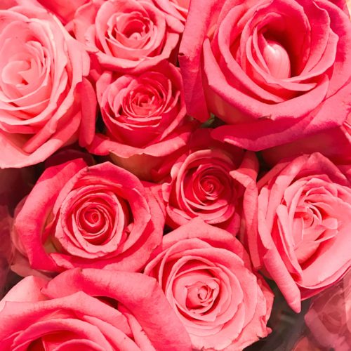 Lessons from the Bachelor