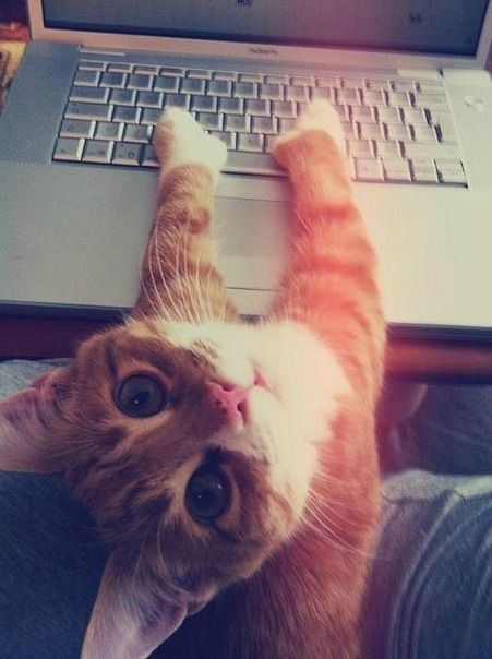 social media and dating